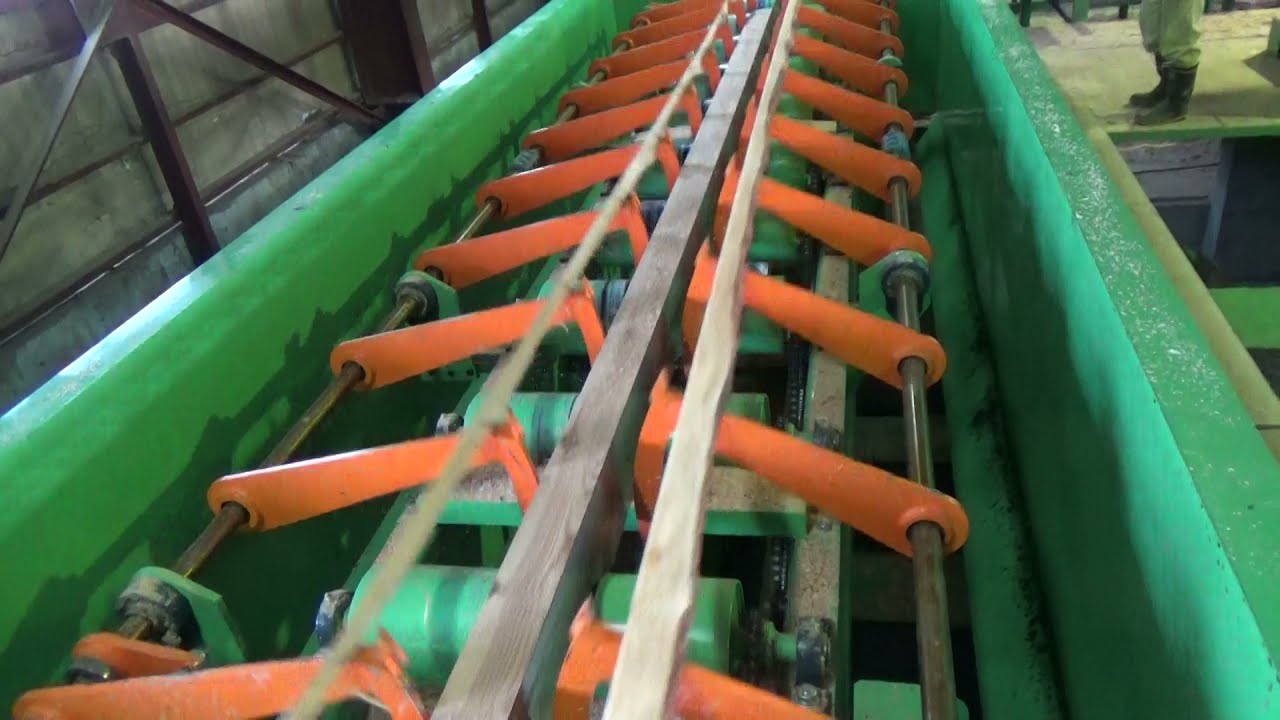 耳スリツインリップ